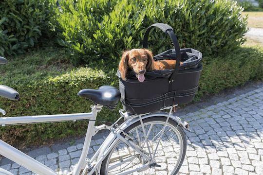 Trixie Dog Carrying Black Basket for 8kg Pets L29xW60xH49cm