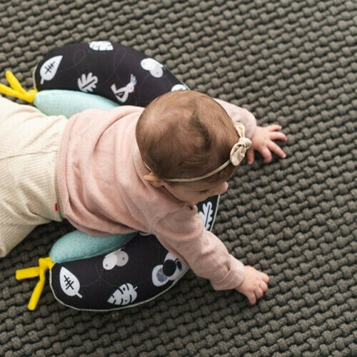 Taf Toys Tummy Time Pillow Activity Pillow for 6+ Months