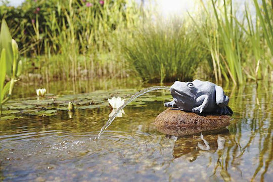 Oase Water Spouts Frog Decorațiune Acvariu