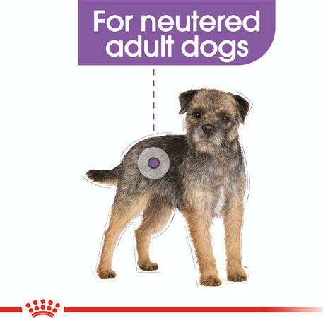 Royal Canin Sterilised Wet Food Dogs in Pouches with Meat 12x85gr