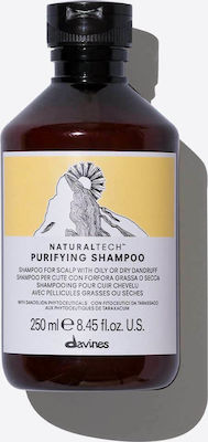 Davines Natural Tech Purifying Shampoos Against Dandruff for All Hair Types 250ml