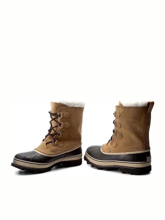 Sorel