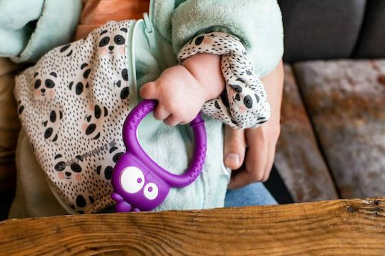 Tommee Tippee Owl Teething Ring from Silicone for 3 Months+