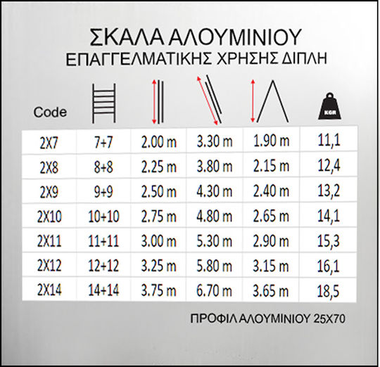 Pankoskal Επαγγελματική Διπλή 2x12 Διπλή Σκάλα Αλουμινίου 2x12