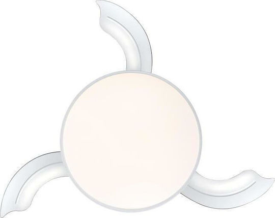 Westinghouse Tori Ceiling Fan 106.6cm with Light Fixture White