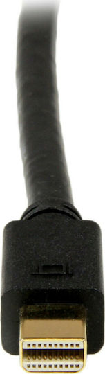 StarTech Cable DVI-D male - mini DisplayPort male 1.8m Μαύρο (MDP2DVIMM6B)