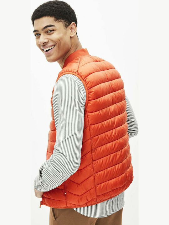 Celio Celio