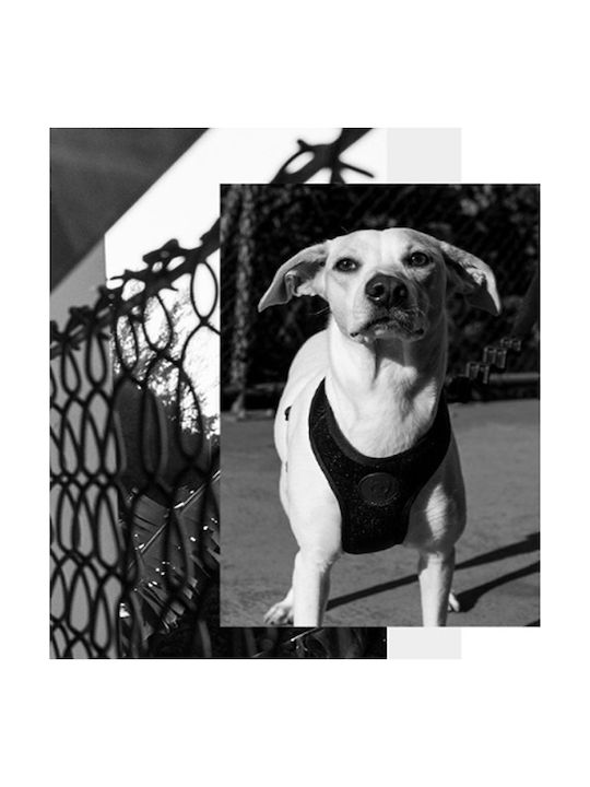 Zee-Dog Ham de câine Vestă Air Mesh Ham pentru câini mare negru Negru Mare 702690