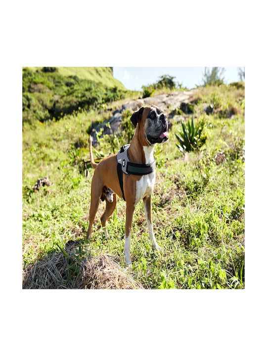 Zee-Dog Dog Harness Fly Harness 73-1,07εκ. Size 5 Gray XX-Large 570900