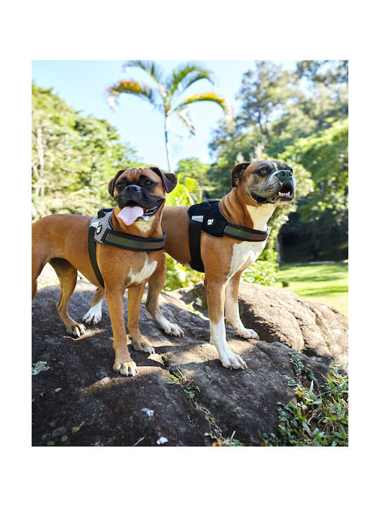 Zee-Dog Dog Harness Fly Harness 73-1,07εκ. Size 5 Gray XX-Large 570900