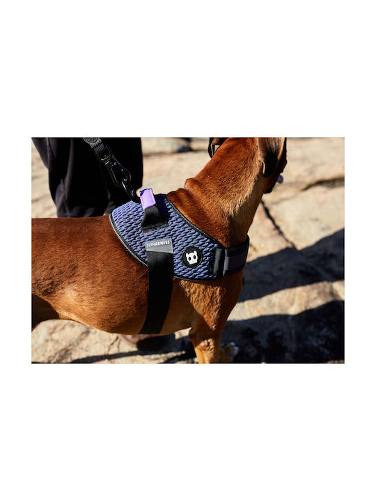 Zee-Dog Fly Кучешки Повод Лилав Large