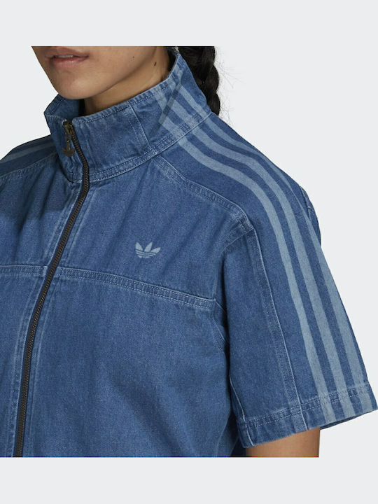 Adicolor