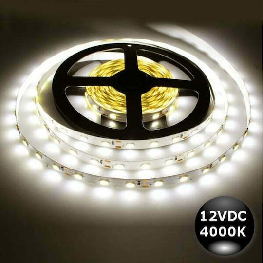 Elmark LED Strip 12V Natural White Light 5m Type SMD5050