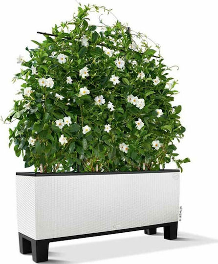 Lechuza Suport pentru ghiveci din plastic Negru 126bucx38bucx15buccm.