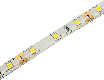 Avide ABLS12V2835-60CW65 Αδιάβροχη Ταινία LED Τροφοδοσίας 12V με Ψυχρό Λευκό Φως Μήκους 5m και 60 LED ανά Μέτρο Τύπου SMD2835 ABLS12V2835-60CW65