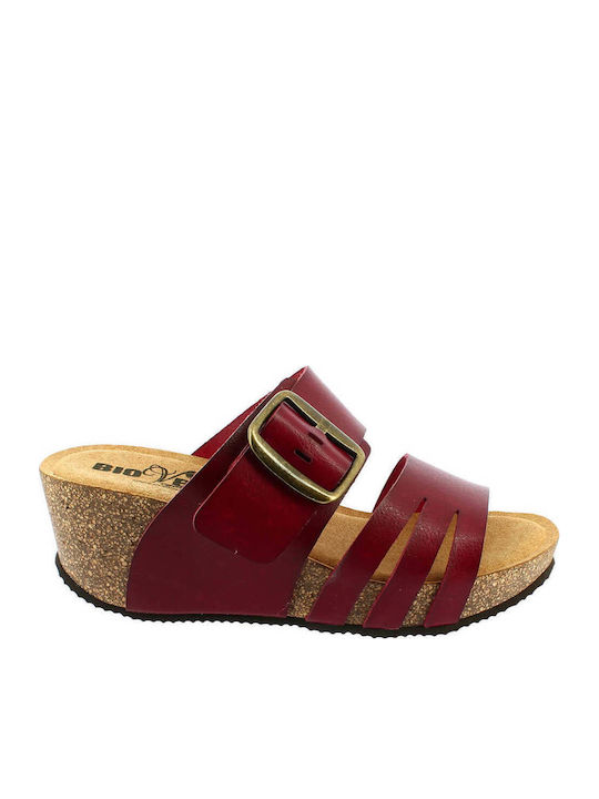 IQ Shoes