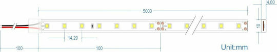 Cubalux Waterproof LED Strip 24V Warm White Light 5m Type COB