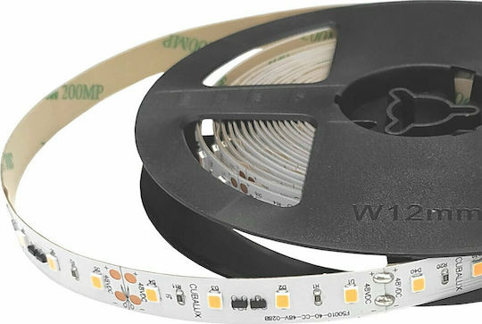 Cubalux LED Strip 48V Natural White Light 5m