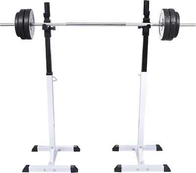 vidaXL Barbell Rack for Weight Bars Σετ με Μπάρα και Αλτήρες