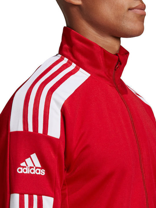 Squadra 21 Training Cardigan Bărbați Cu Glugă Roșu