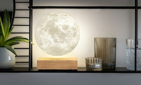 Gingko Dekorative Lampe Mondlicht Beige