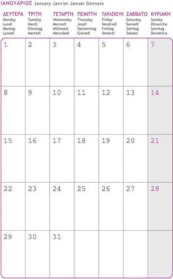 Innostat Zilnic Agenda Gri 2022 Spiral 21x29cm Gri