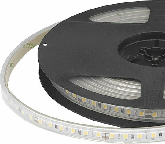 Cubalux Αδιάβροχη Ταινία LED 24V Θερμό Λευκό Φως 5m