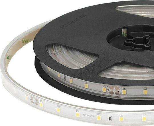 Cubalux Rezistent la apă Bandă LED 24V Alb Cald Lumină 5m