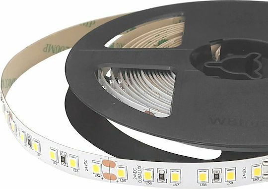 Cubalux LED Strip 24V Natural White Light 5m