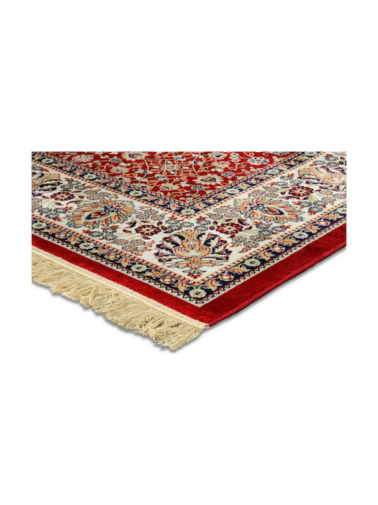 Newplan Sonia 240/301220 Rug Round Summer with Fringes Red