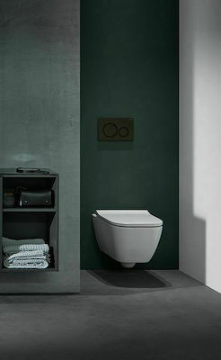 Geberit Sigma 20 Spülplatten für Toiletten Doppelspülung 115.882.16.1