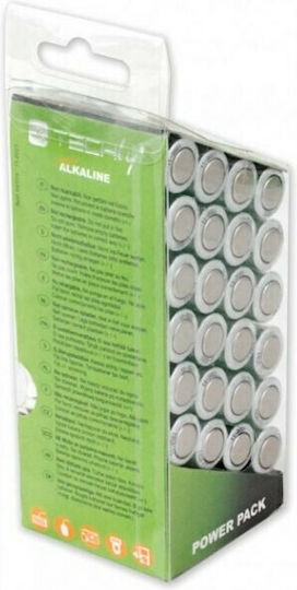 Techly Alkaline Batterien AA 1.5V 24Stück IBT-KAP-LR06-B24T