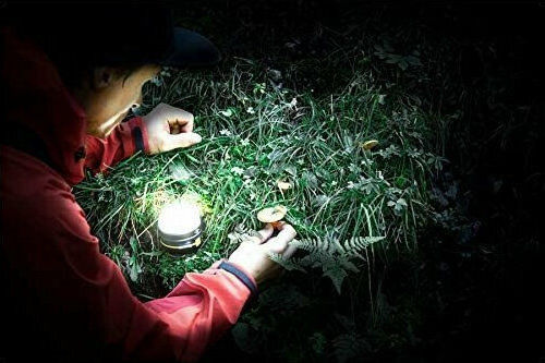 Brennenstuhl OLI 0300 A Lanternă Lumini LED Reîncărcabilă Pentru Camping 350 Lumen