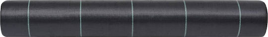 vidaXL 313068 Ύφασμα Εδαφοκάλυψης 60gr/m² 2x100m Μαύρο