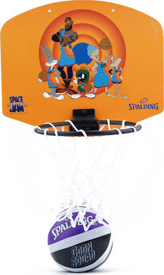 Spalding Tune Squad Indoor Mini Basketball