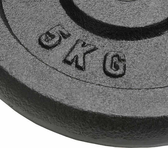 vidaXL Set of Plates Metal 4pcs Total Weight 30kg Φ30mm