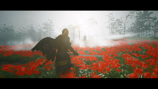 Ghost of Tsushima Director's Cut Edition PS4 Game