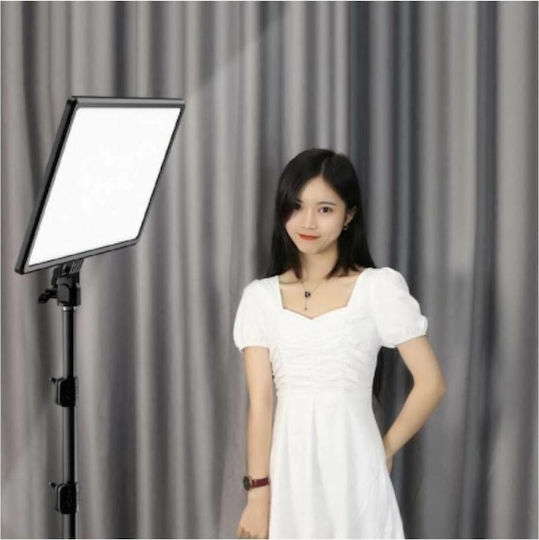 Factory A111 LED Light 3300K 12W