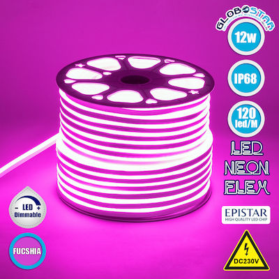 GloboStar Waterproof Neon Flex LED Strip Power Supply 220V with Pink Light Length 1m and 120 LEDs per Meter