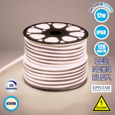 GloboStar Rezistentă la apă Bandă Neon Flex LED Alimentare 220V cu Lumină Alb Natural Lungime 1m și 120 LED-uri pe Metru