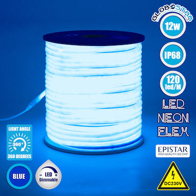 GloboStar Waterproof Neon Flex LED Strip Power Supply 220V with Blue Light Length 1m and 120 LEDs per Meter