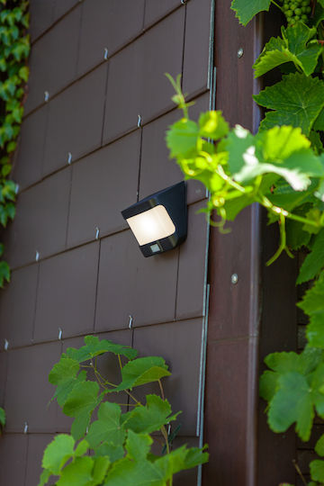 Lutec Try Wall Mounted Solar Light 8W 500lm Cold White 5000K with Motion Sensor and Photocell IP44 11.8cmx6.9cmx12.5cmcm