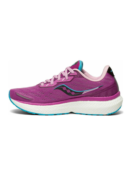 Triumph 19 Sport Shoes Running Pink