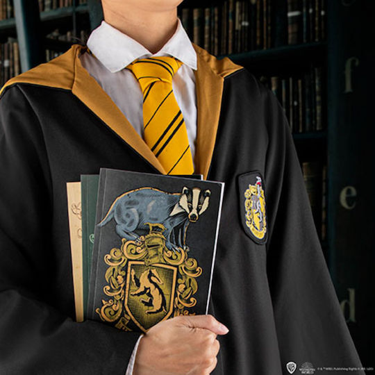 Cinereplicas Harry Potter Notizbuch 64 Blätter A5 Geregelt Gray