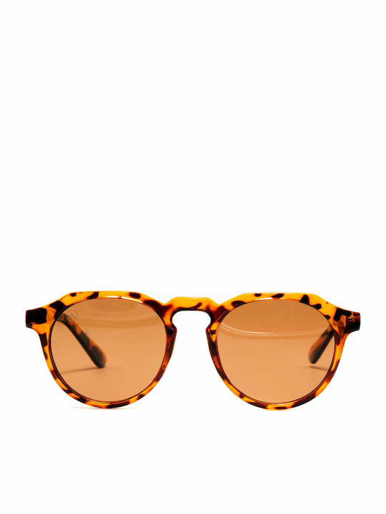 Olympus Sunglasses Alexandros Sunglasses Brown with Acetate Frame & Orange Lens Olympus Sunglasses Alexandros Sunglasses Brown with Acetate Frame & Orange Lens