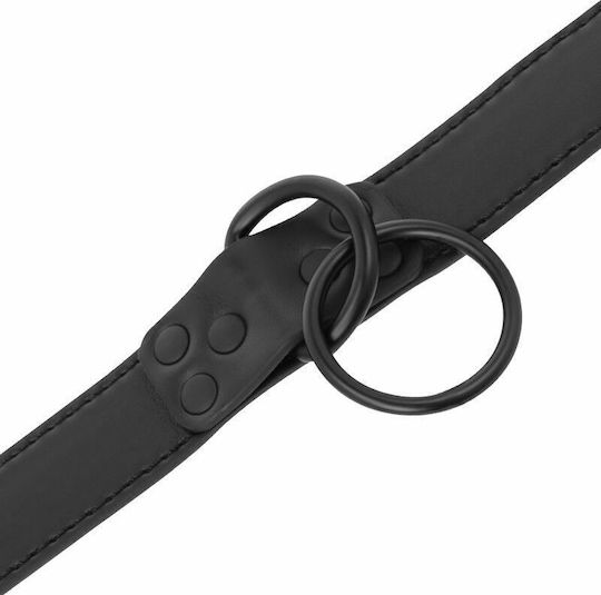 Darkness Thin Black Full Collar with Leash Κολάρο σε Μαύρο Χρώμα