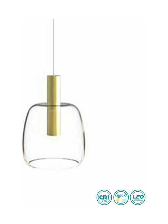 Zambelis Lights Pendant Light LED Suspension with Warm White Light Transparent