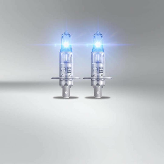 Osram Lamps Car & Motorcycle Cool Blue Intense +100% H1 Halogen 5000K Cold White 12V 55W 2pcs