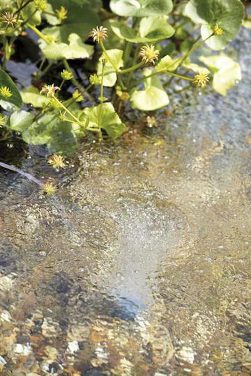 Oase AquaOxy 1000 Αεραντλία Ενυδρείου Διπλής Εξόδου με Μέγιστη Ρυθμιζόμενη Ταχύτητα Ροής 1000lt/h