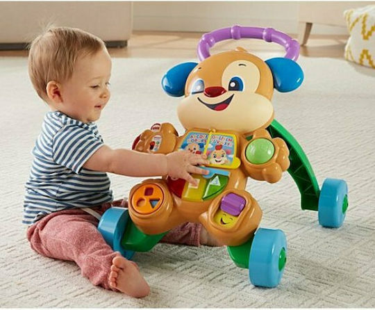 Fisher Price Dog Animal for 6+ Months Orange